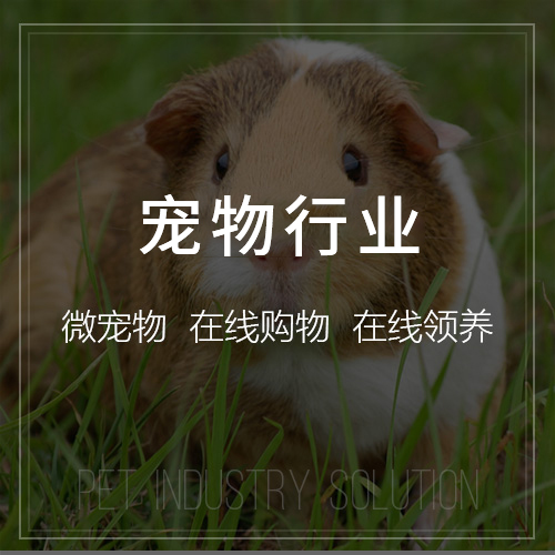 考试APP开发中的防作弊技术拆解